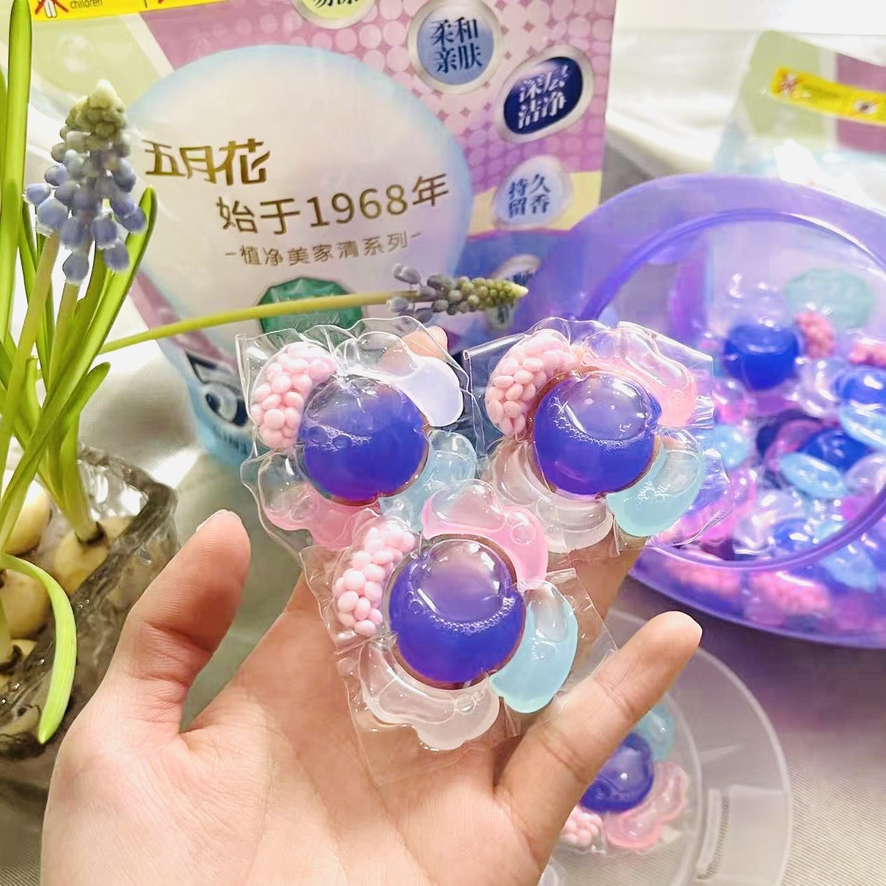 Mayflower [microcapsule] laundry beads five-in-one 5D fragrance condensation type laundry detergent decontamination lasting fragrance