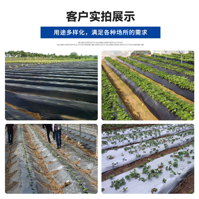 Silver-Black Agricultural Film, Weed-Proof Black Film, Can Be Perforated, Retains Heat and Nutrients, Agricultural Film for Growing Vegetables, Black Water-Retaining Film