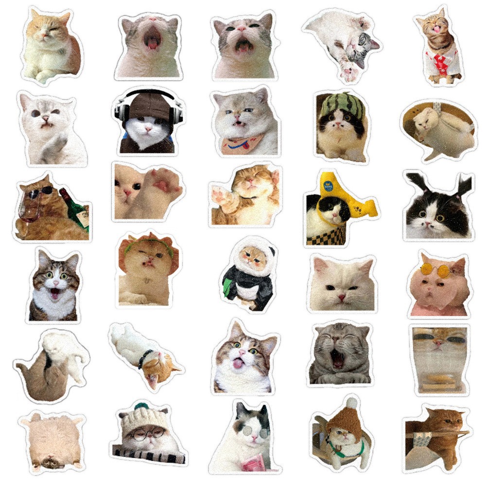 60 cross-border cartoon cat graffiti stickers diy luggage cup notebook self-adhesive waterproof hand account stickers
