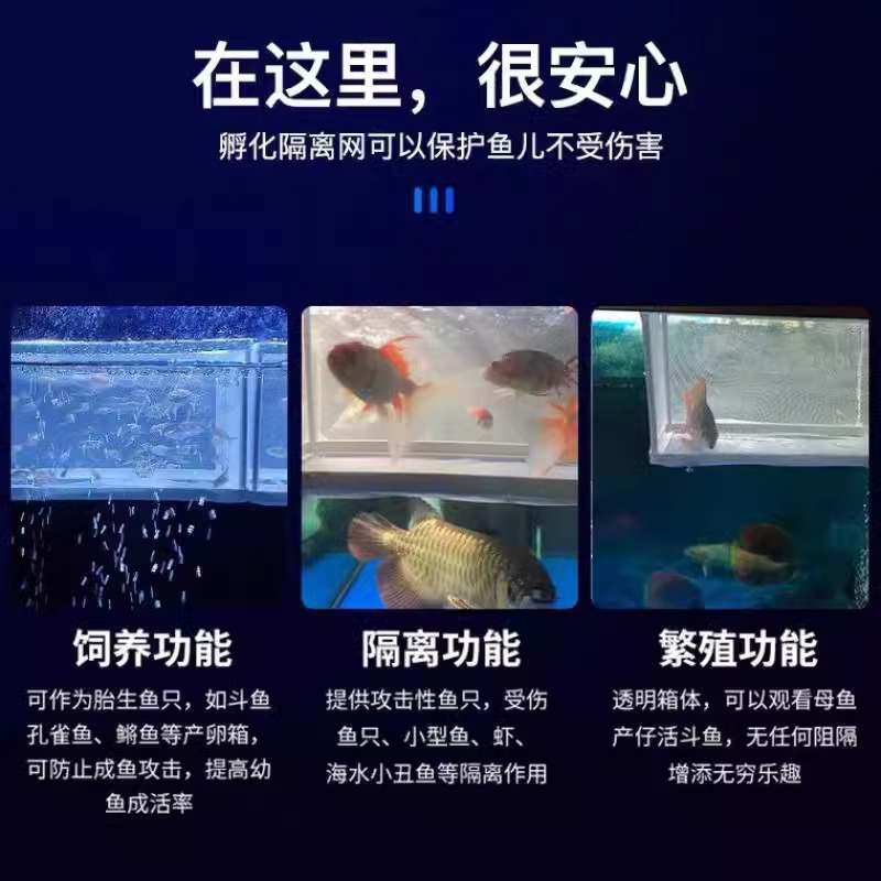 Fish Tank Isolation Net Betta Incubator Box Breeding Box Suspended Protection Small Fish Aquarium Guppy