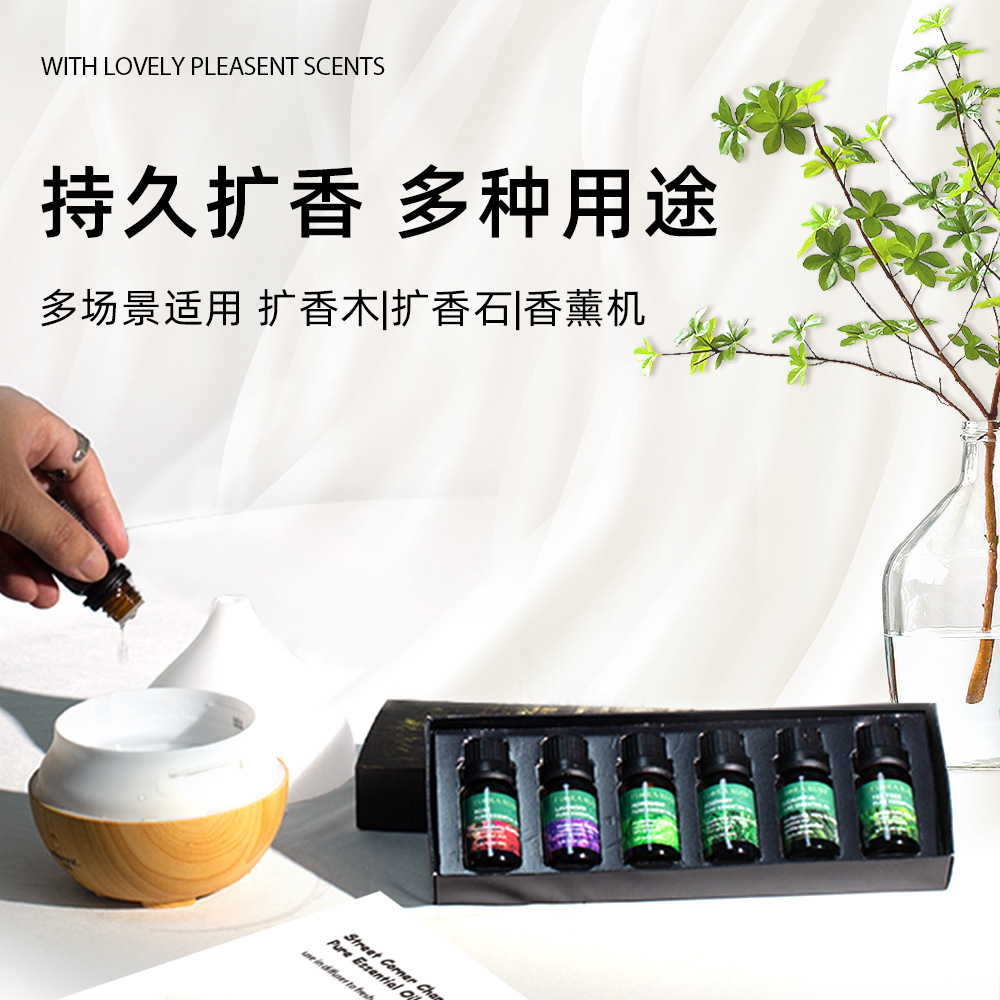 Cross-Border Plant Skin Care Aromatherapy Essential Oil Set Rose Rosemary Aromatic Pure Essential Oil Beauty Salon Manufacturer Wholesale