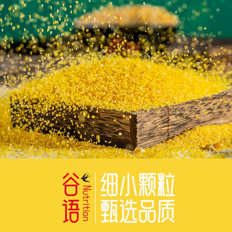 Corn Grits 500g Vacuum Packed New Rice Corn Residue Farm Produced Corn Broken Corn Factory Wholesale Corn