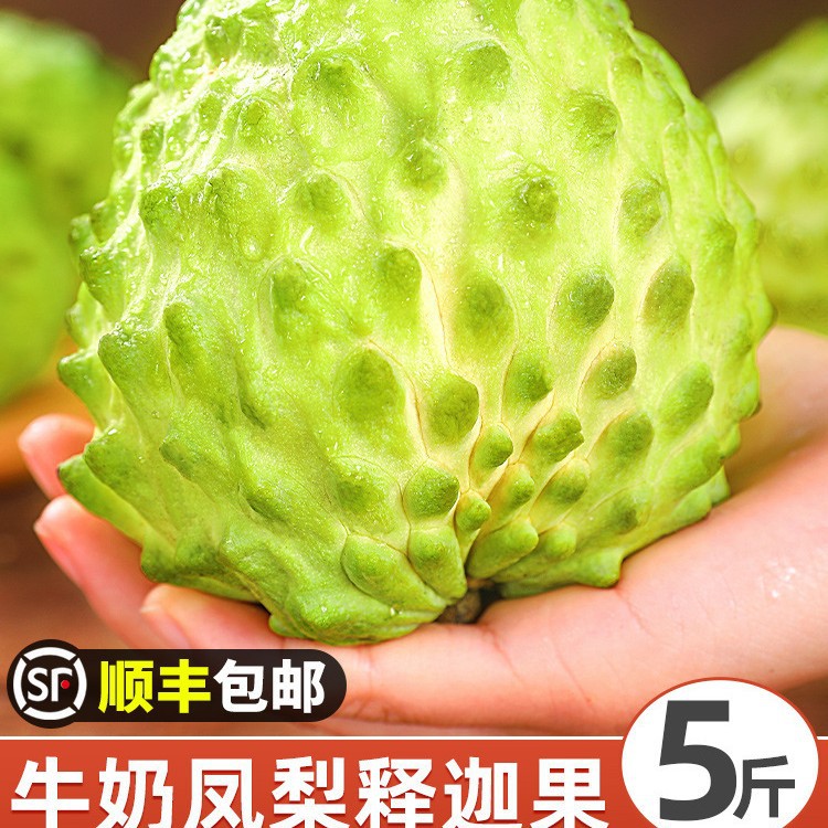 Свежий фрукт Сакьямуни 2.5кг, крупный ананас, молочный фрукт головы Будды, фрукт Ринго Мони, сезонный фрукт, Sf Экспресс