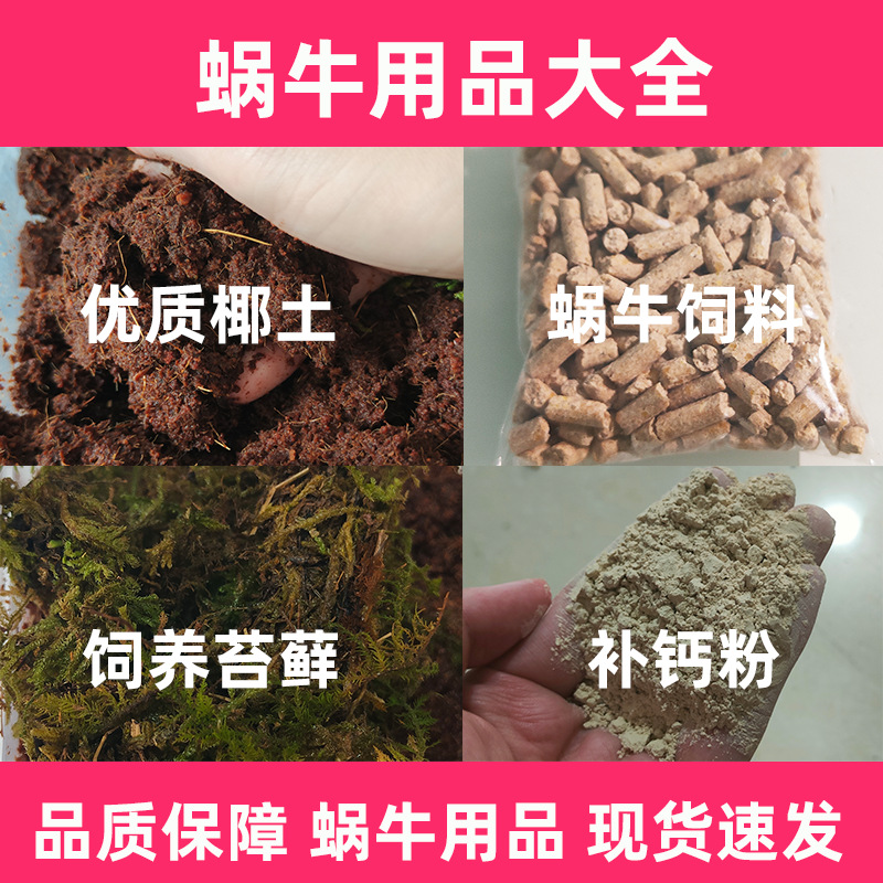 Улитка из белого нефрита, большая улитка, кормление улиток, кокосовый грунт, мох, корм для улиток, кальциевый порошок, глюкозный порошок