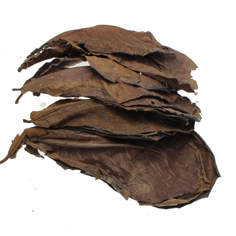 Natural Elemene Leaf Lazy Leaf Aquarium Supplies Fighting Fish Tropical Fish Dragon Fish Turtle Shrimp Tank Acid Reduction Aquarium pH Value