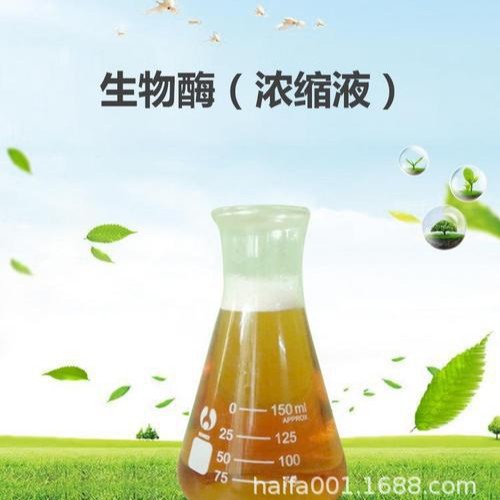 Professional Oem of All Kinds of Synthetic Detergents Customized by Oem