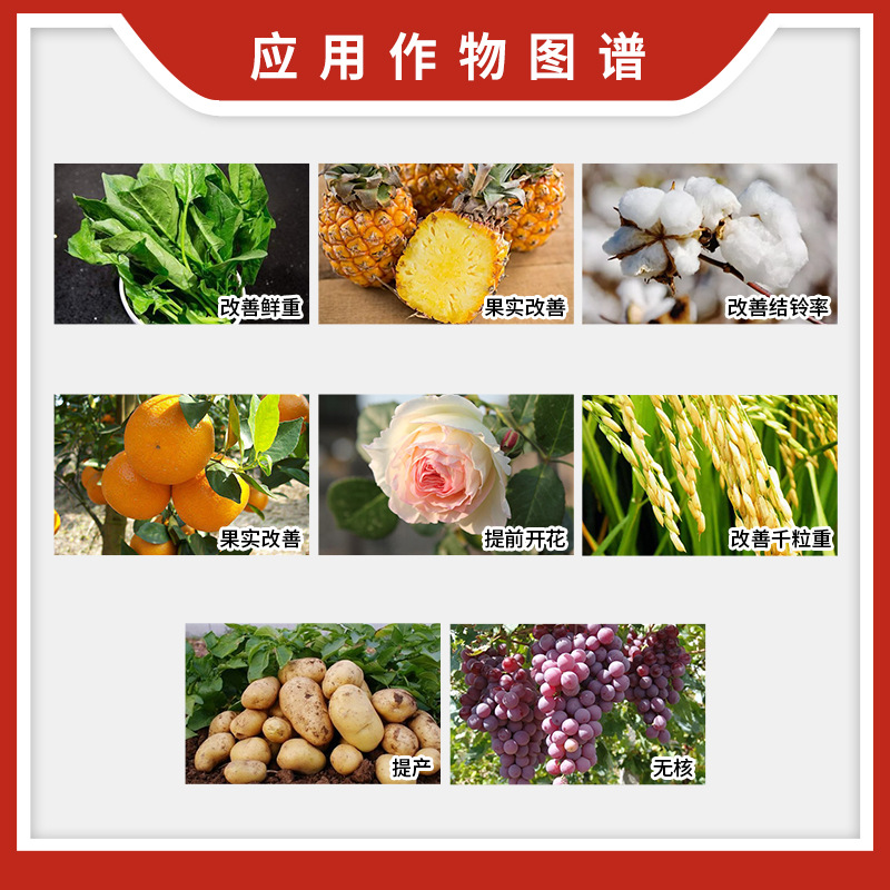 Tongrui Sanliu 75% Gibberellic Acid Increases Weight, Promotes Growth, Produces Seedless Enlargement, Gibberellic Acid 920 Improves Germination Rate in Plants