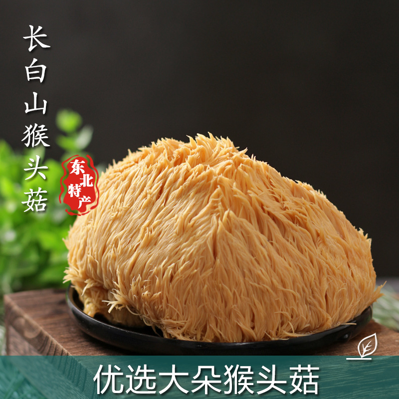Longbai Mountain Hericium Dry Goods Wild 500g New Powder Northeast Mushroom Soup Ingredients Mushrooms