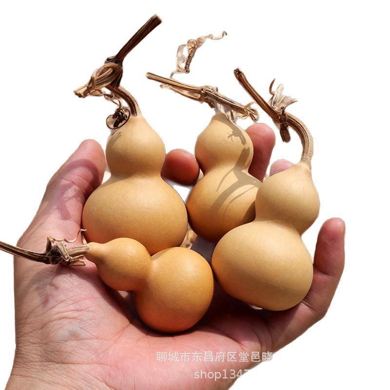 2025 New Arrivals Gourd Toys Natural Currency Ornaments Hand Pieces Small Gourds Hand-Twisted Gourds Manufacturer Wholesale