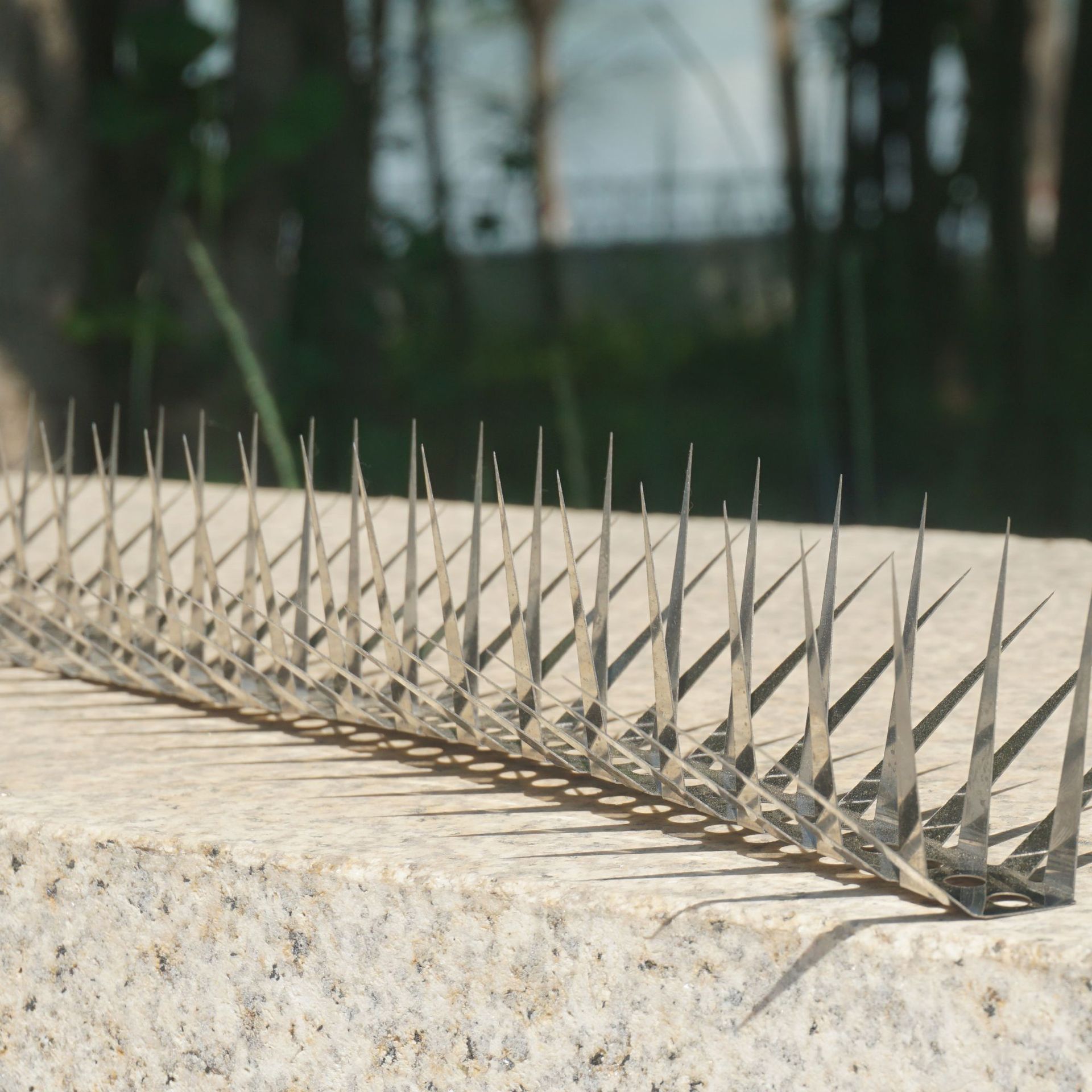 Stainless Steel Spikes to Prevent Cats from Scratching, Iron Spikes for Guardrails, Fences, Balconies, Spiked Boards, Spikes for Schools, Stainless Steel Spikes to Prevent Cats from Scratching