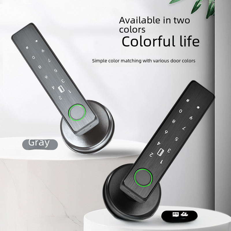 Bedroom Door Double row graffiti smart lock household indoor wooden door fingerprint lock office electronic password door lock