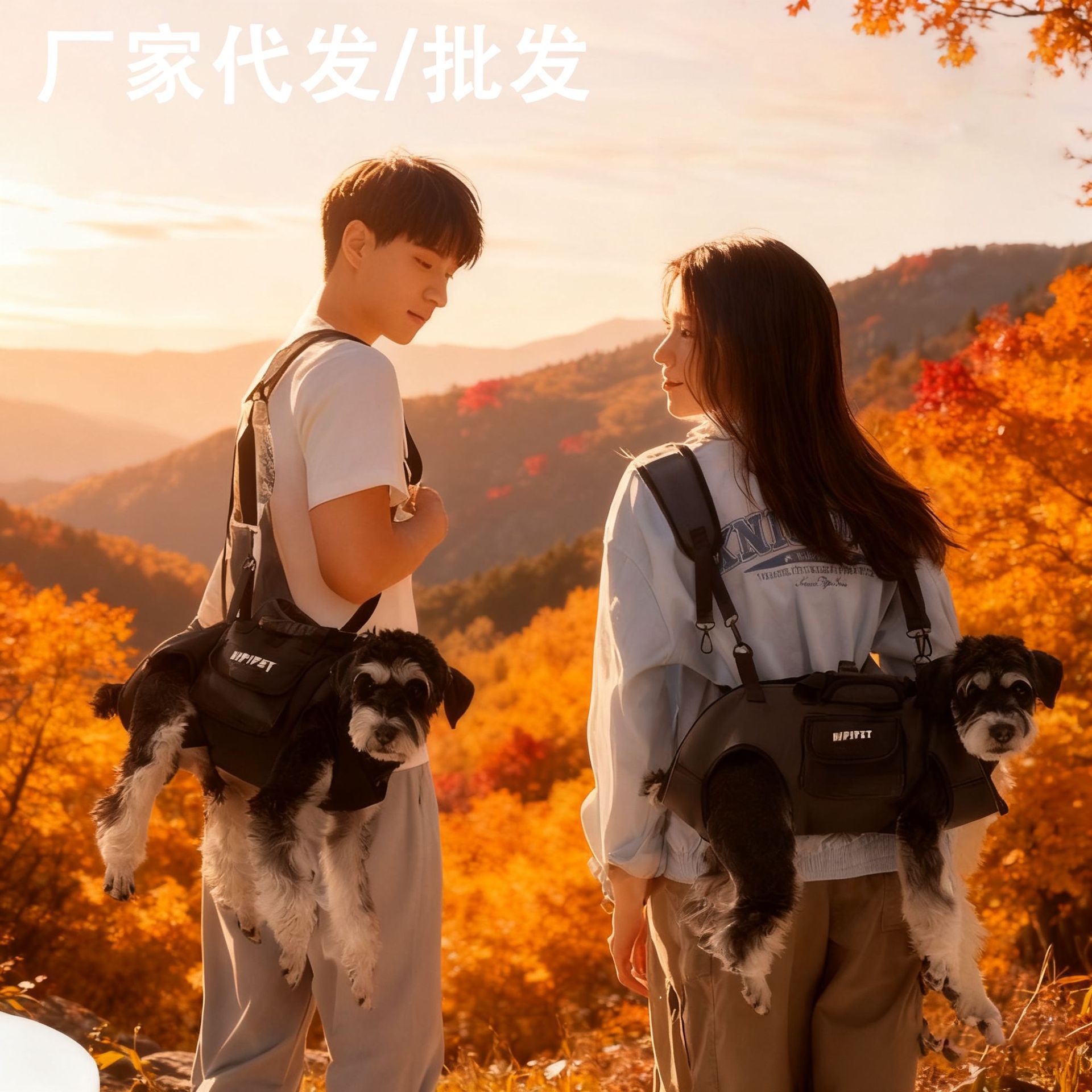 Рюкзак-переноска для собак с поводком, большой размер для прогулок с собаками