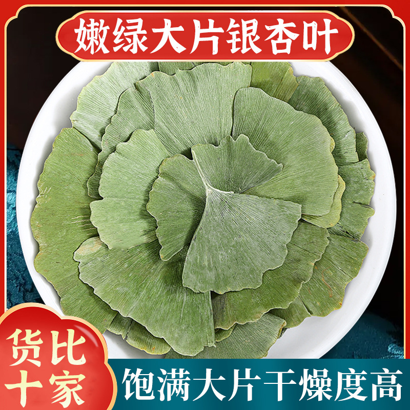 Гинкго листья Шэньнунцзя, китайская травяная медицина 500г, чай из листьев гинкго, аутентичные новинки, сушеные целые куски для чая