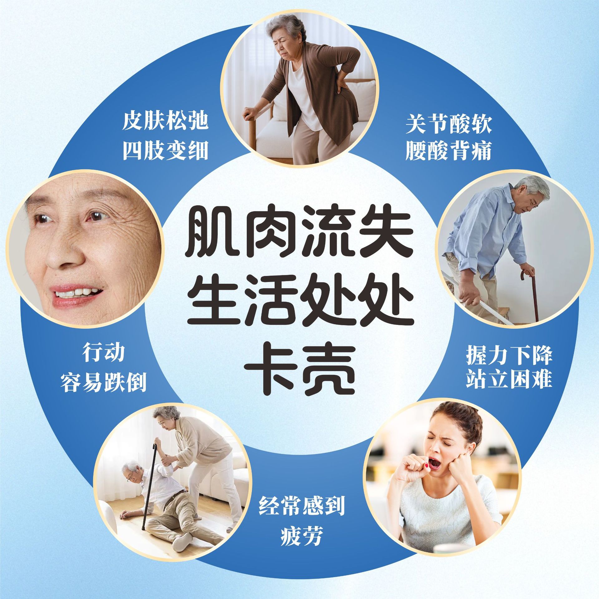 Centenary Vitality Peptide for Bone and Joint Pain, Small Molecule Peptide Whey Protein Powder, Osteoporosis Nutritional Powder, Vitamin Calcium