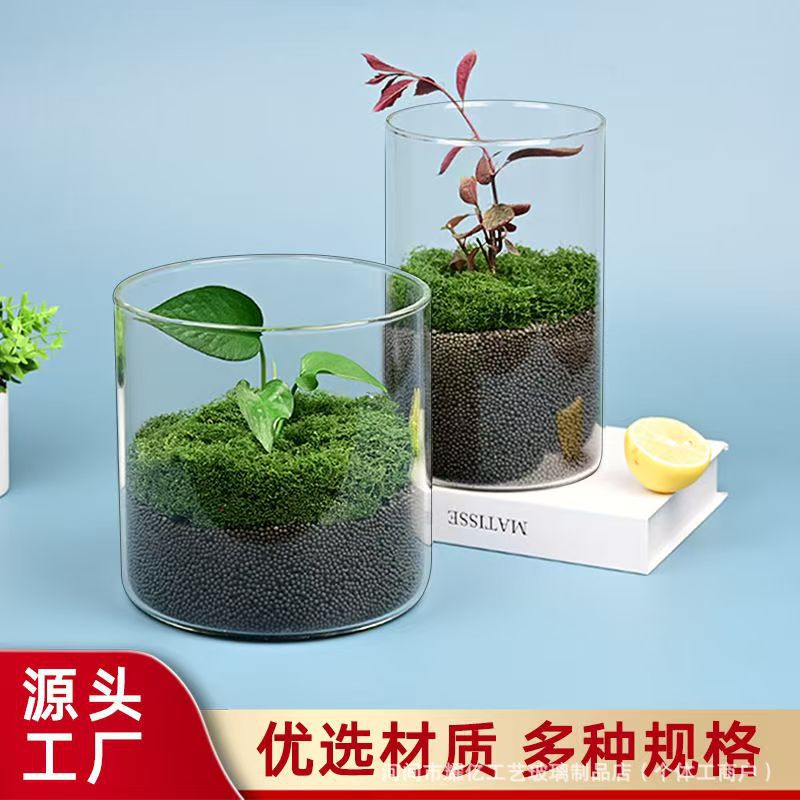 Экологическая бутылка для микроландшафта с высокой прозрачностью и большим диаметром, гидропонная бутылка, аквариум для бетта, аквариум для водных растений