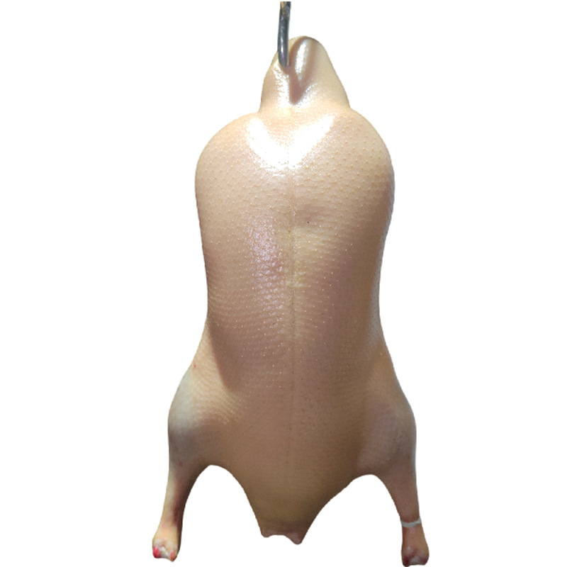 Оптовая продажа от производителя, хрустящие не жирные эмбрионы утки Cherry Valley, свежезамороженные эмбрионы утки, сырьё для жареного утиного эмбриона