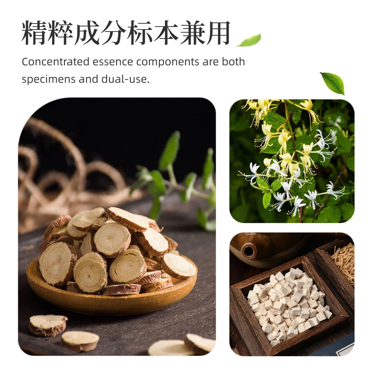 Dog Cough Nest Cough Net Dog and Cat Cough Runny Nose Sneezing Dry Vomiting Fever Cold Factory Delivery