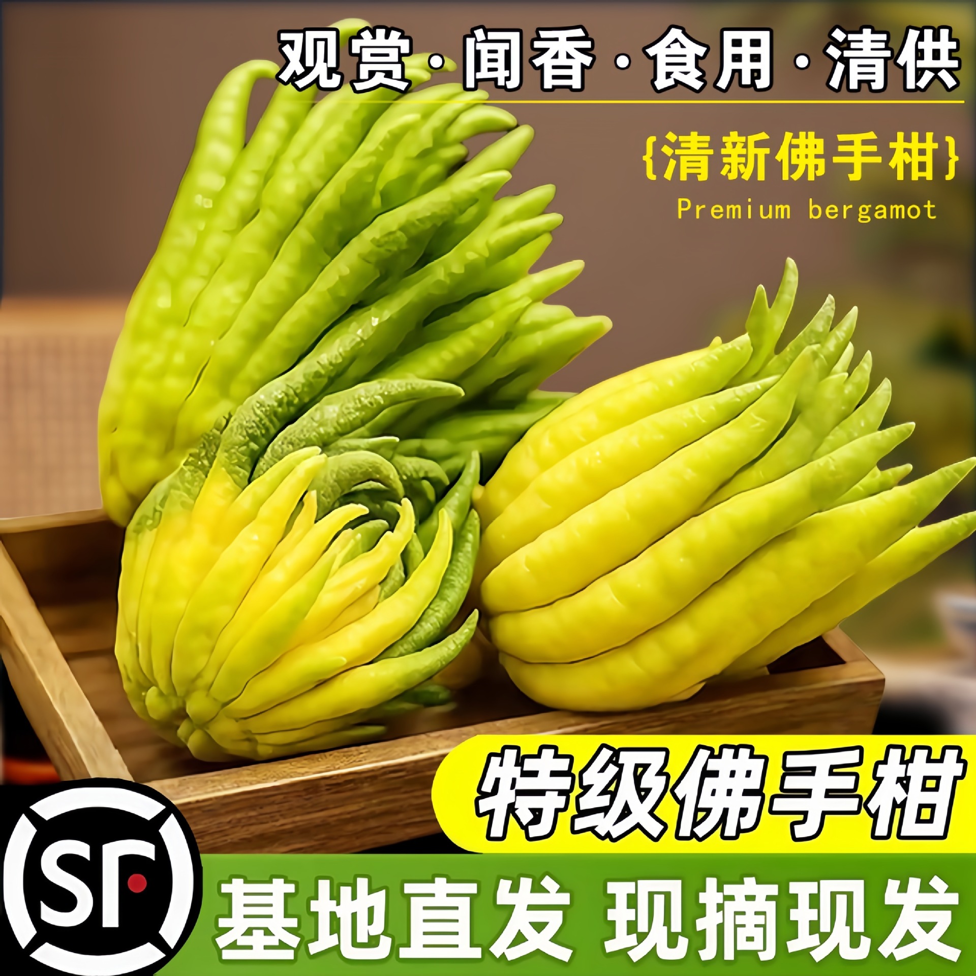 Свежий бергамот, свежий бергамот с ветками, комнатные украшения, декоративные цветы, съедобные цветочные горшки