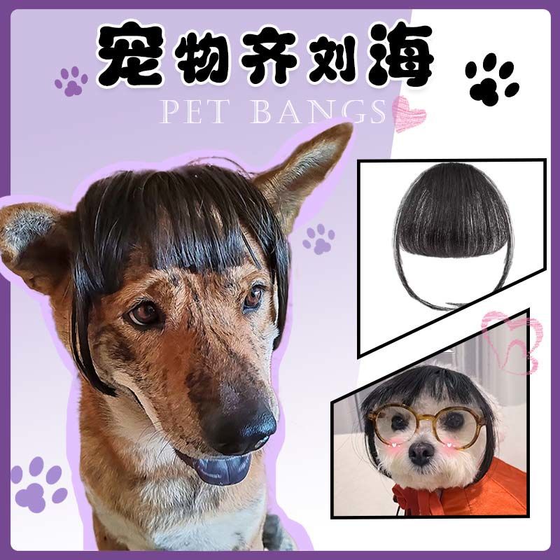 Pet Cat Wig Bobo Head Qi Liu Haijin Three Cabinet Same Headgear Dog Shake Sound Internet Red Hair Gold Geldits