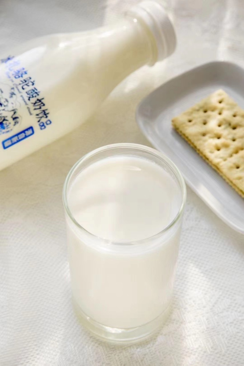 Ice Camel Yogurt No Added Pigment, No Added Preservatives, Sterile Cold Irrigation 330ml ✖️ 24 Bottles