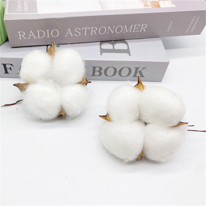 Factory wholesale simulation single head kapok head natural dried flower branches cotton wreath Christmas supplies eternal flowers