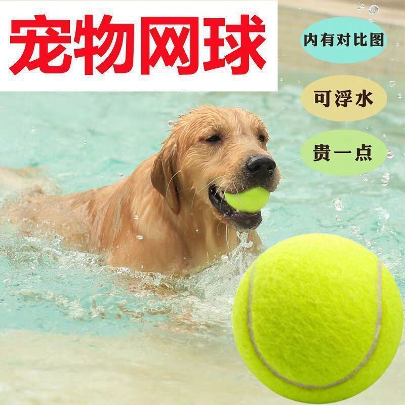 Dog Toy Ball Golden Retriever Teddy Elastic Ball Bite-Resistant Molar Tennis Pet Puppy Labrador Puppy Training