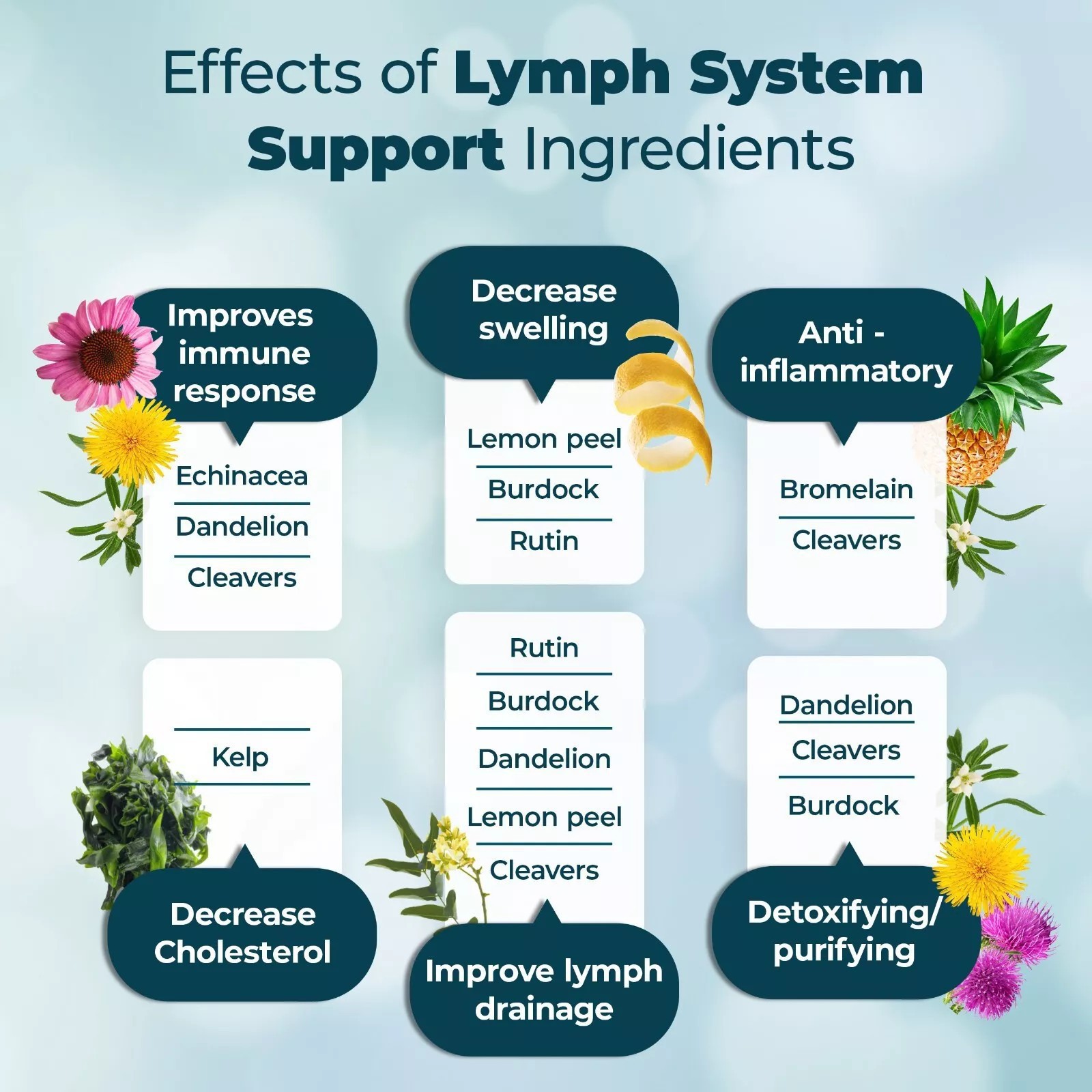 In-Stock Tk Amazon Bestseller Immune System Health Lymph Capsules Lymph System Support Oem