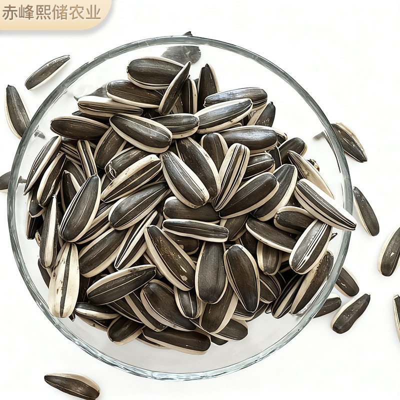 Large Sunflower Seeds New Stock Inner Mongolia Sunflower Seeds Bulk Raw Sunflower Seeds Original Origin Wholesale Original Flavor Sunflower Seeds