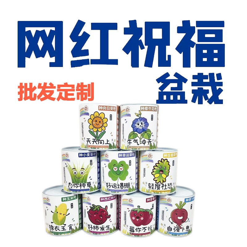 Children Plant Small Potted Plants, Blind Box Mini Flower Farmer Kindergarten, Primary School Students Gift Plant Growth Observation and Germination