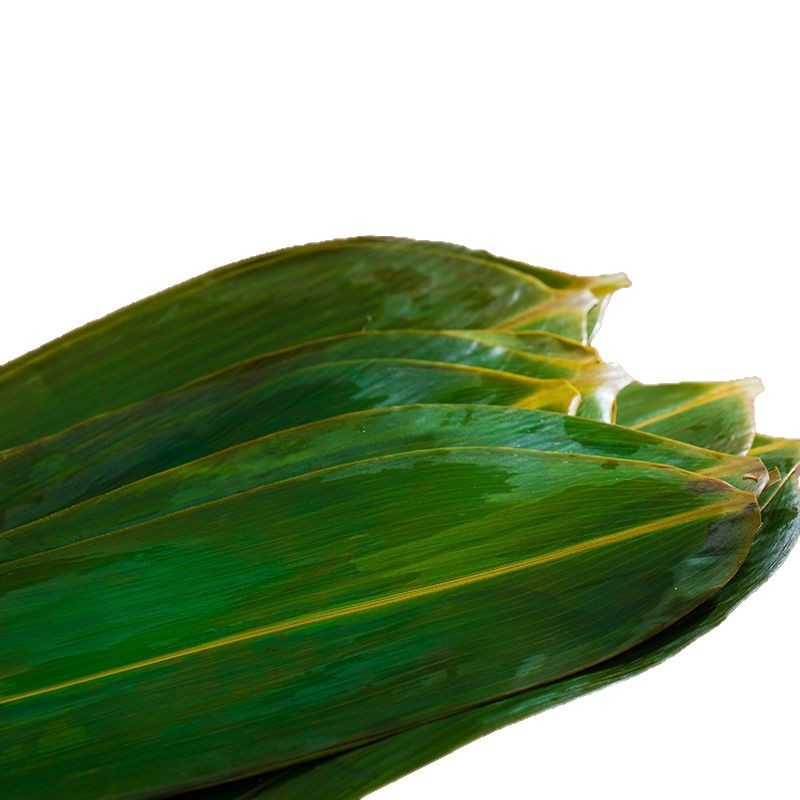 Fresh Large New Leaves for Wrapping Zongzi, Special Leaves for the Dragon Boat Festival, Commercial Wholesale Dry Zongzi Leaves, Large Leaves