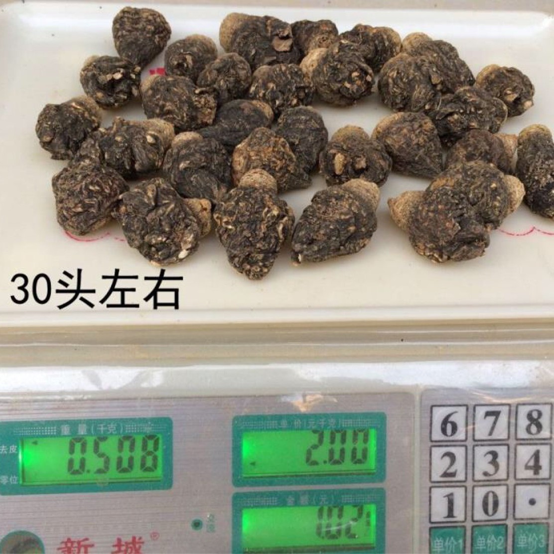 Chinese Herbal Medicine Black Maca Yunnan Lijiang Black Maca Dried Fruit Slices Soaked in Wine for Adults? Ka Can Help Maca Powder