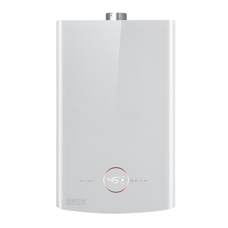 Wholesale Strong Exhaust Type Constant Temperature 16L Gas Water Heater Household Natural Gas Factory National Standard Engineering Customization