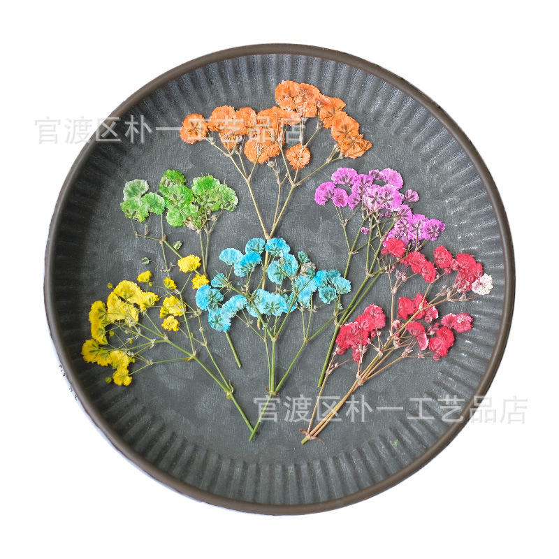 Dyeing dried flower flower flower handmade material flower factory base wholesale procurement pressedfolwers