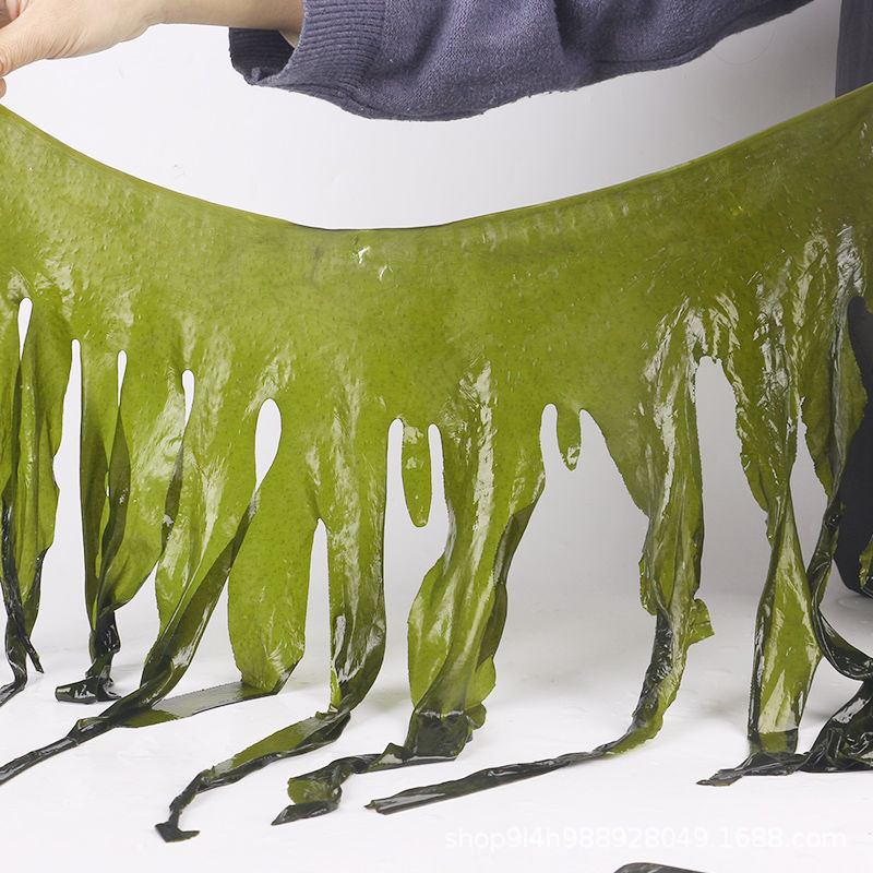 Salted Wakame Rongcheng Thick Wakame Fresh Sea Cabbage Weihai Specialty Manufacturer Direct Supply Wholesale 0.5kg Free Shipping