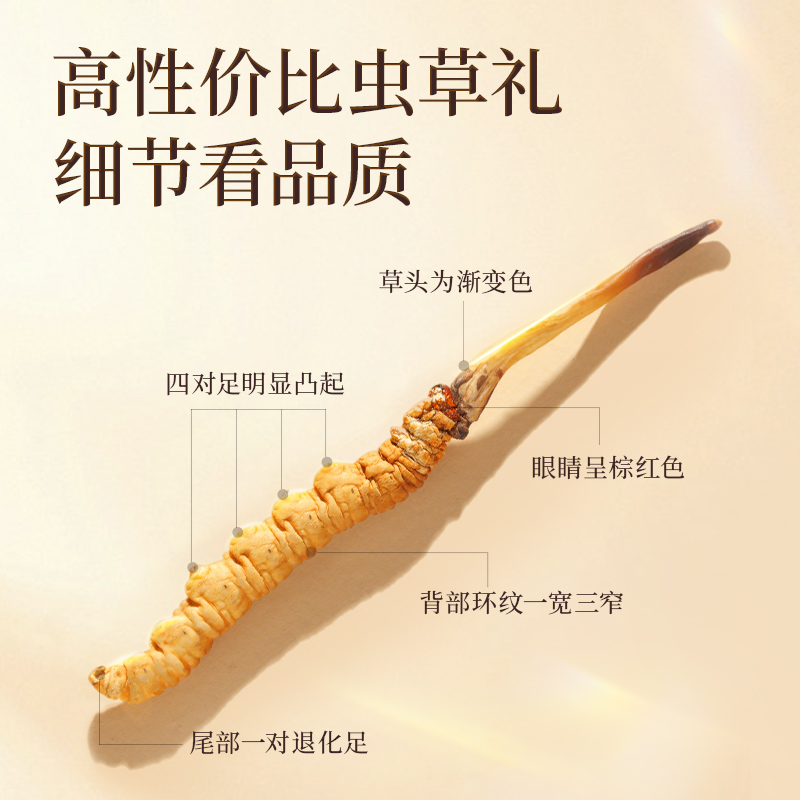 Fresh Cordyceps Sun-Dried Grass Xizang Nagqu High-Altitude Cordyceps Dry Brushed Fresh Cordyceps Wholesale Cordyceps