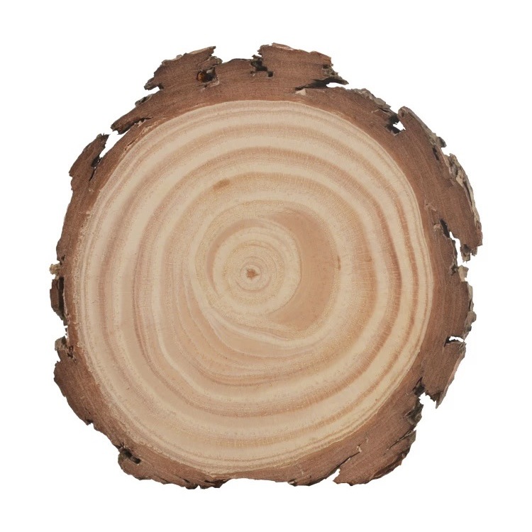 DIY Round Wood Pieces Handmade Painting Material Wood Pieces Kindergarten Decorative Background Original Wood Pieces Annual Rings Pieces Material Bag