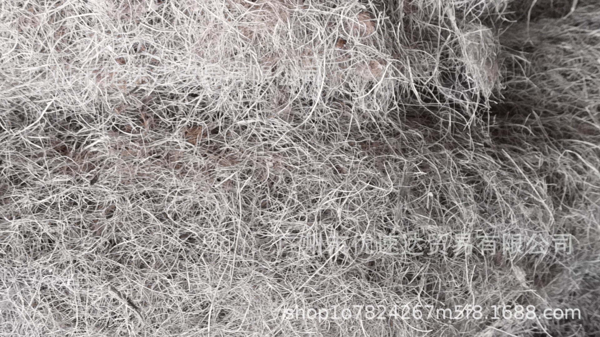 Pulp Supply coconut shell fiber for papermaking and pulping plant fiber raw materials for papermaking wood pulp