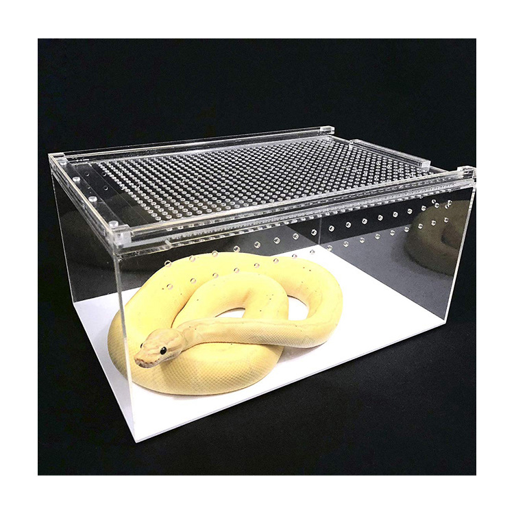 Cross-Border Living Room Integrated Small Acrylic Reptile Breeding Box for Spiders and Lizards, Direct Sales from Manufacturer, Customizable Pet Reptile Enclosure