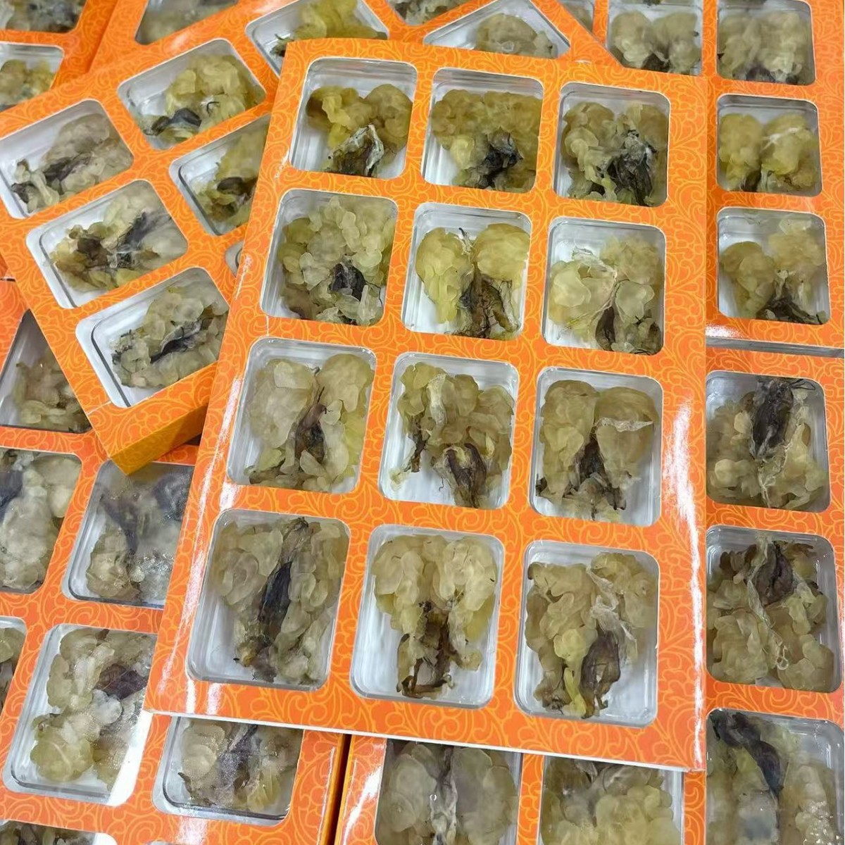 Snow clam 25g northeast Changbai mountain forest frog papaya stewed snow frog oil toad oil cream Jilin dry goods