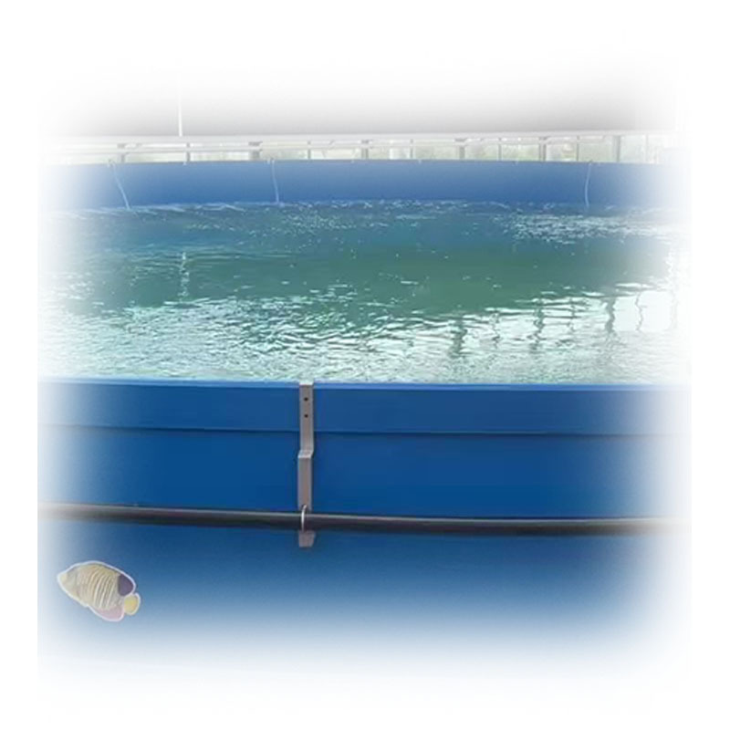 Pp Fish Pond Board, Pp Board for Fish Egg Hatching and Breeding Tank, Pp Aquaculture Board, Pp Plastic Fish and Shrimp Breeding Pond