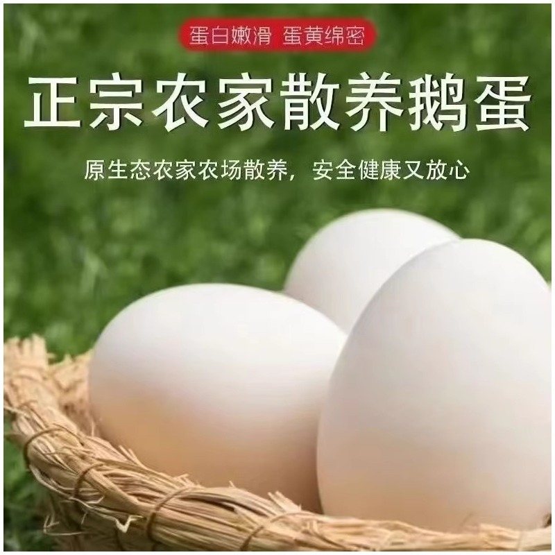 Goose Eggs 24-Hour Fresh Eggs Fresh Free-Range 12 Goose Eggs Farm Native Goose Eggs Nutritious and Healthy Free Shipping Wholesale