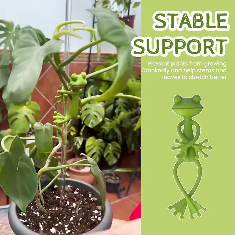 Cross-border New Frog Plant Stand Vine Climbing Plant Stand