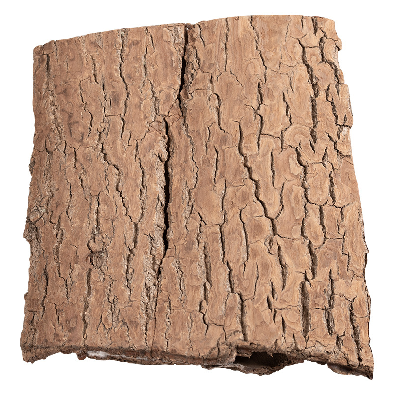 Eucommia Chinese Herbal Medicine 500g Eucommia Bark Eucommia Raw Eucommia Soaked in Wine Eucommia Morinda Officinalis Soup Bag Ready for Sale