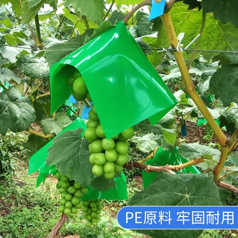 Grape Umbrella Cover Sunshade Special Bag Sun Protection Rose Umbrella Hat Sunburn Prevention Rain Protection Crack Prevention Fruit Umbrella Bag