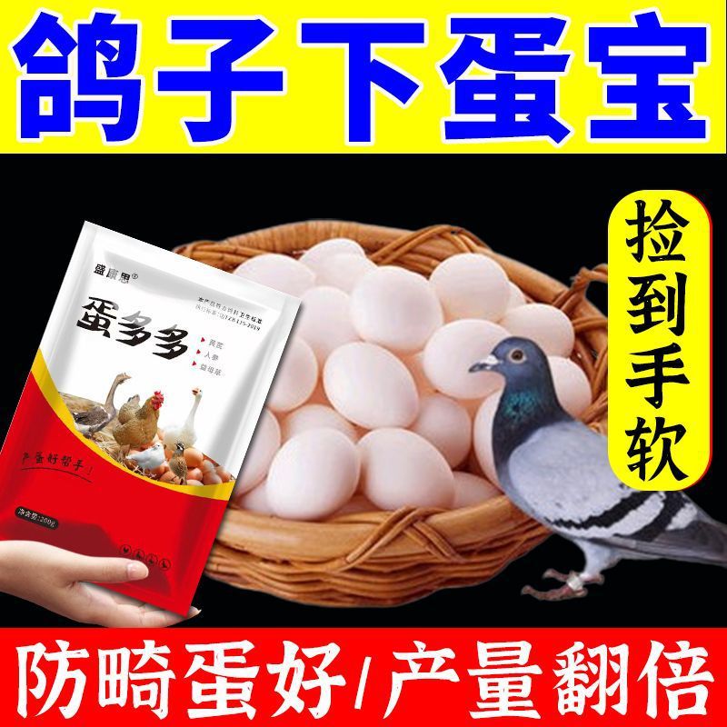 Egg Multi Chicken, Duck, Goose, Pigeon Poultry Egg-Laying Booster Powder for Soft-Shell Eggs, Calcium and Phosphorus Supplement for Egg-Laying