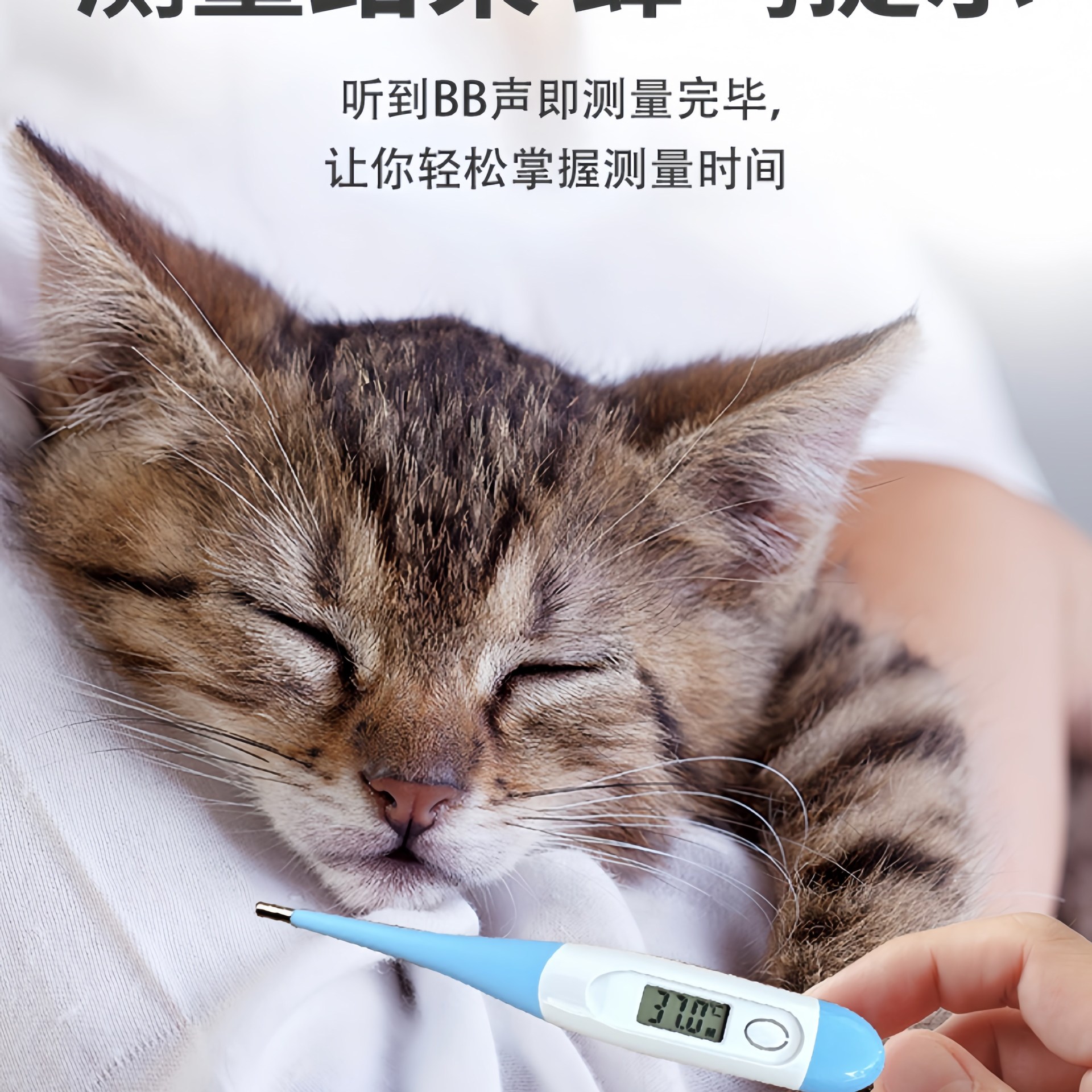 Pet Thermometer Cat and Dog Thermometer Veterinary Anal Digital Thermometer Cat and Puppy Cold Temperature Measurement