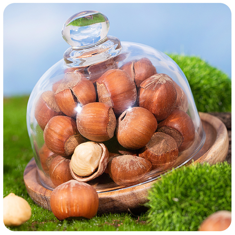 Northeastern Open-Shell Hazelnuts, Original Flavor, Large Kernels, New Stock, 500g Canned Specialty Nuts, Roasted Snacks, Wholesale