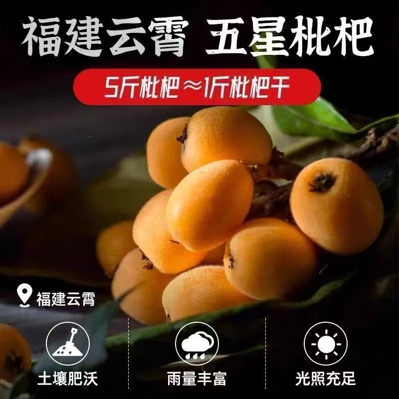 Соленая сушеная хурма с бамбуковой солью, оригинальный вкус, продукт официального флагманского магазина, безкосточковая закуска из хурмы