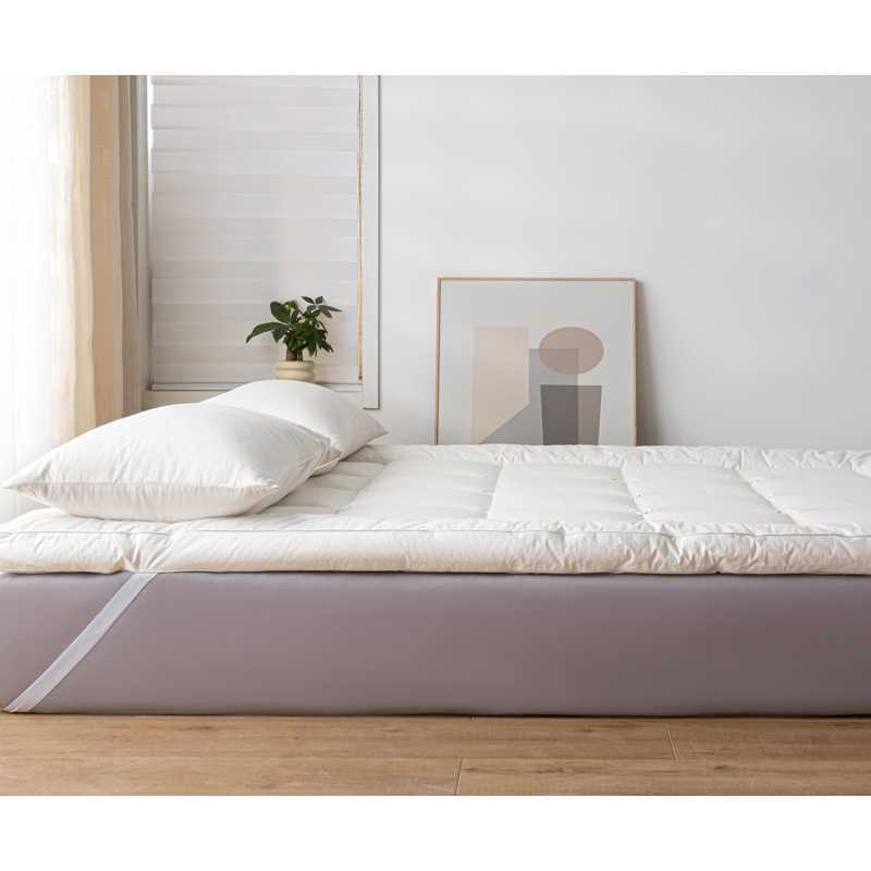 Nantong Home Textile Bed 2025 New Thickened Three-Dimensional Whole Cotton Hotel Student Mattress Antibacterial Cloud Group Buying Wholesale