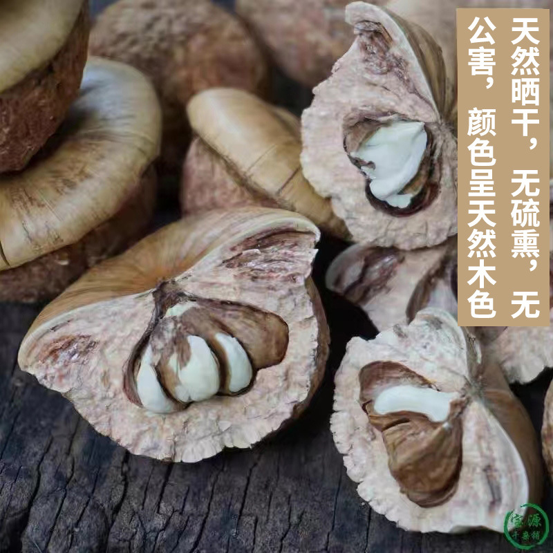 Authentic Guangxi Wild Wind Fruit 500g Chinese Herbal Medicine Turtle Head Tianzhu Seeds Selected Large No-Bad Fruit Soaking Wine Ingredients